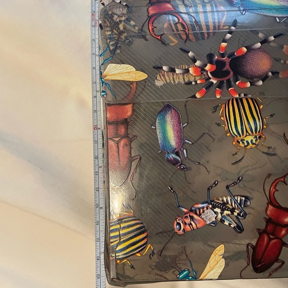 Colorful Insect and Butterfly Collection Box - Picture 9 of 10